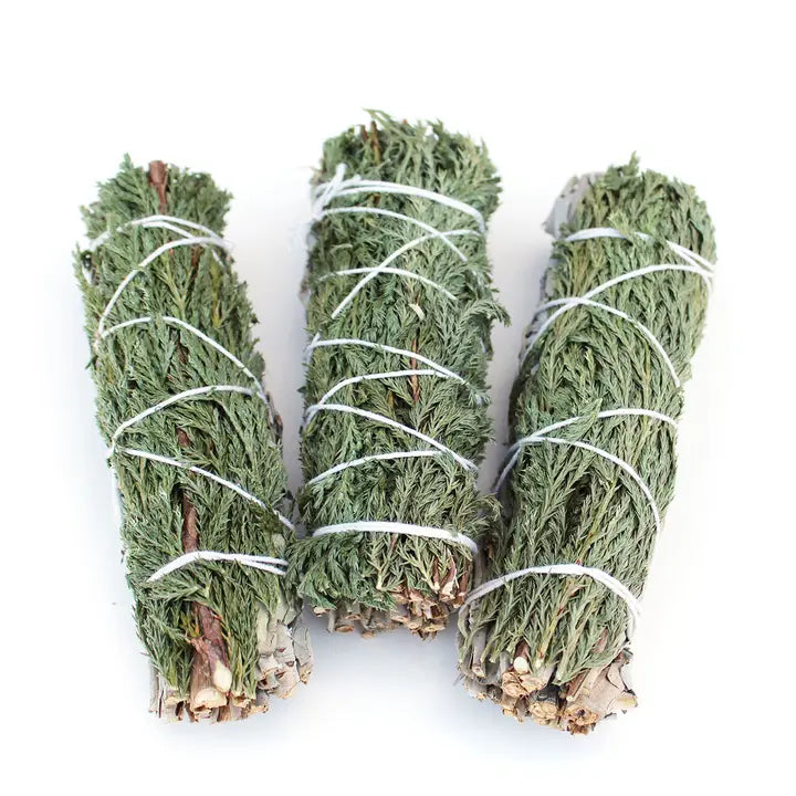 Cedar Sage