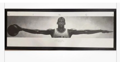 New Textured Black Framed Acrylic Michael Jordan Wings Poster Size 24”X65” Print