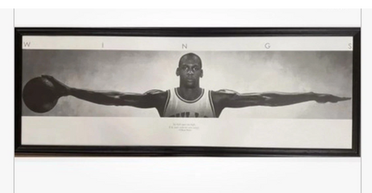 New Textured Black Framed Acrylic Michael Jordan Wings Poster Size 24”X65” Print
