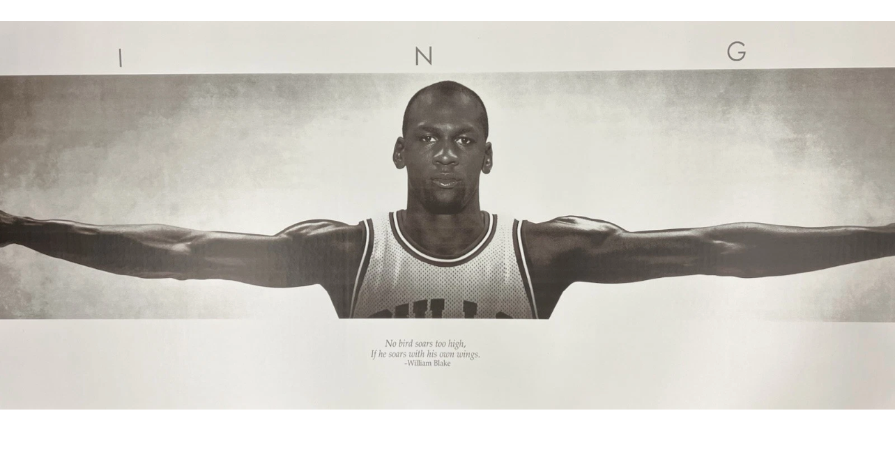 New Textured Black Framed Acrylic Michael Jordan Wings Poster Size 24”X65” Print
