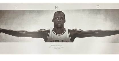 New Textured Black Framed Acrylic Michael Jordan Wings Poster Size 24”X65” Print
