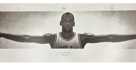 New Michael Jordan Wings Poster Size 21”X62” Digital Print