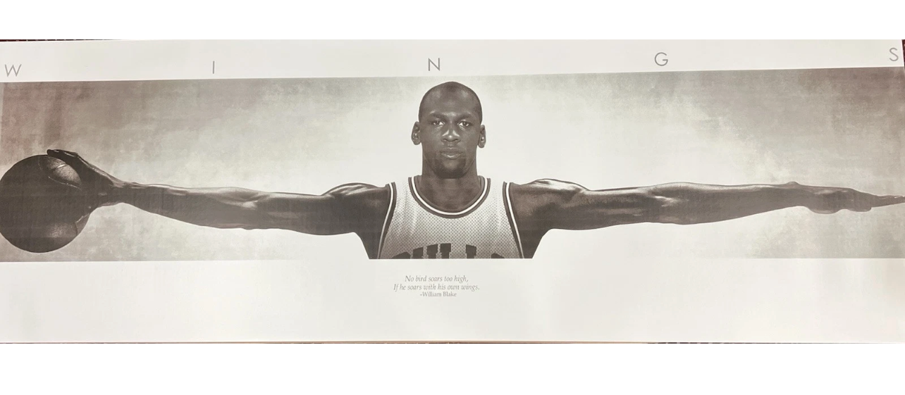 New Textured Black Framed Acrylic Michael Jordan Wings Poster Size 24”X65” Print